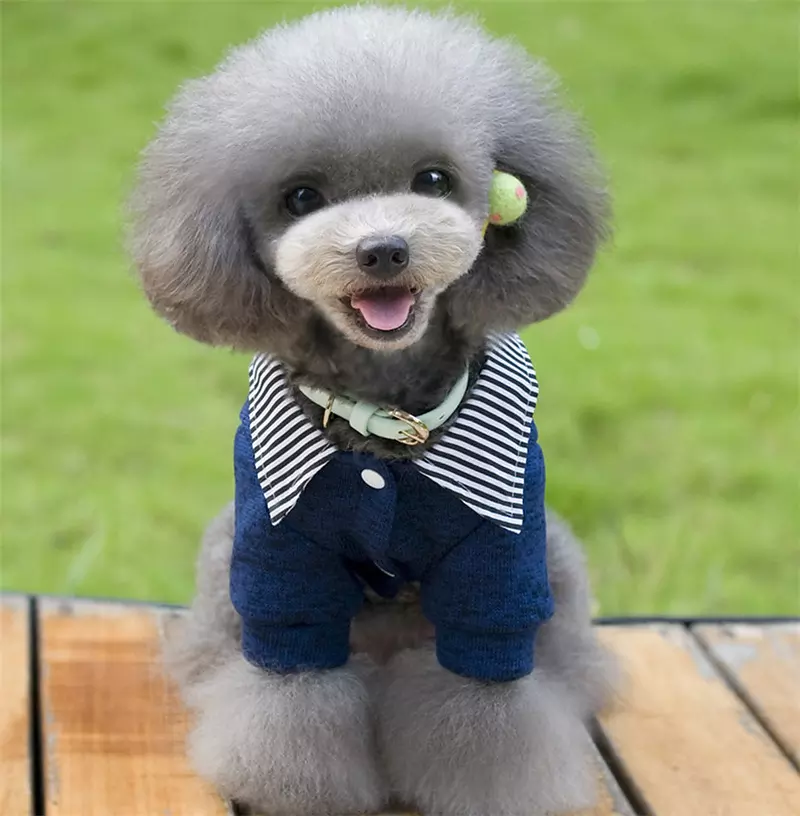 come4buy.com Puppy Pet Dog Coat Jackets