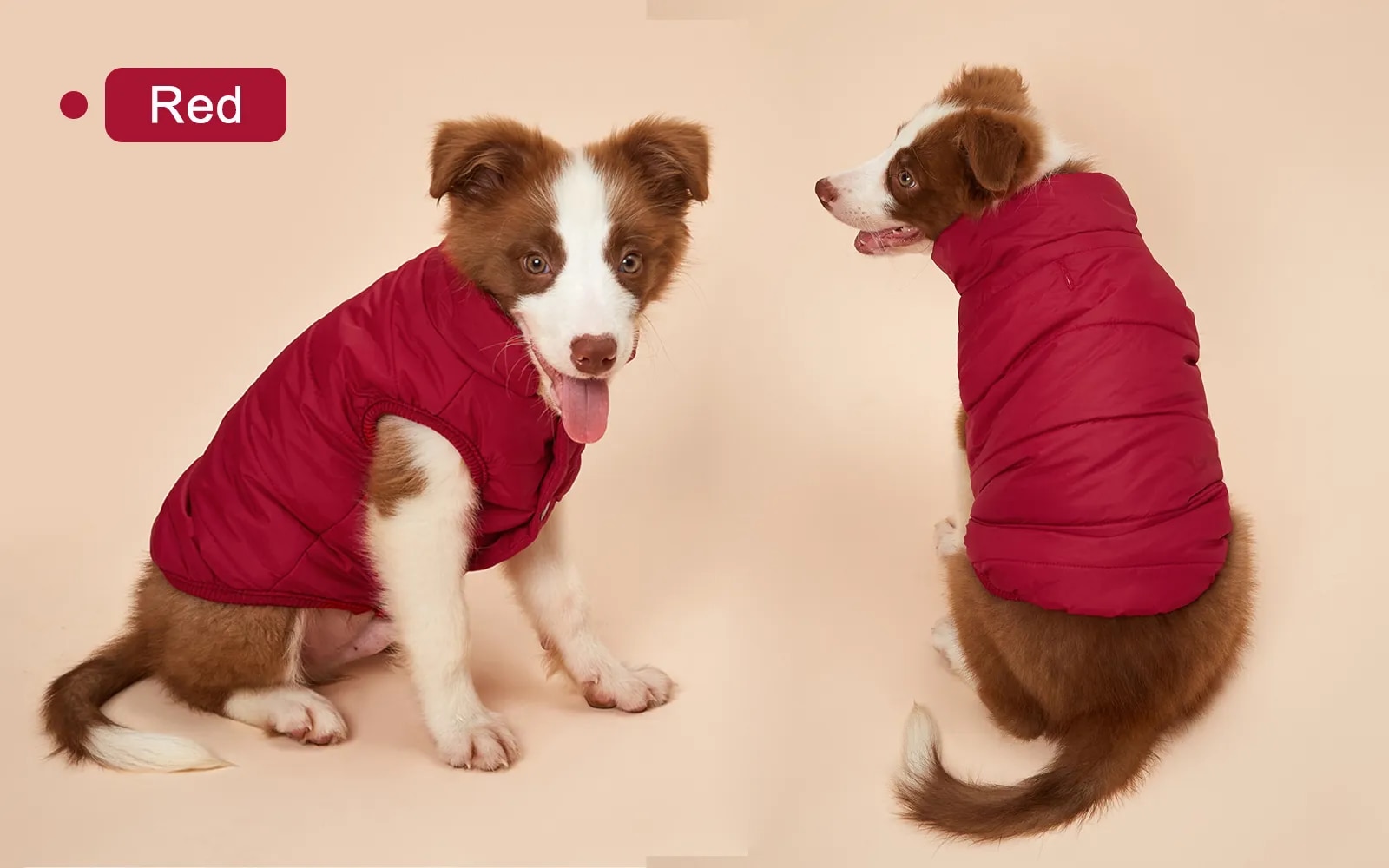 come4buy.com-Winter Dog Clothes Outdoor Cold Proof Warm Dog Jacket